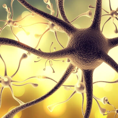 Polyvagaal Theorie: Neurale Veiligheid in de Praktijk